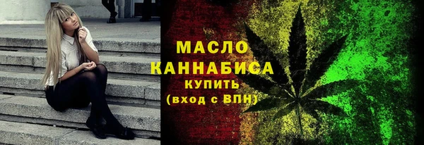 2c-b Горняк